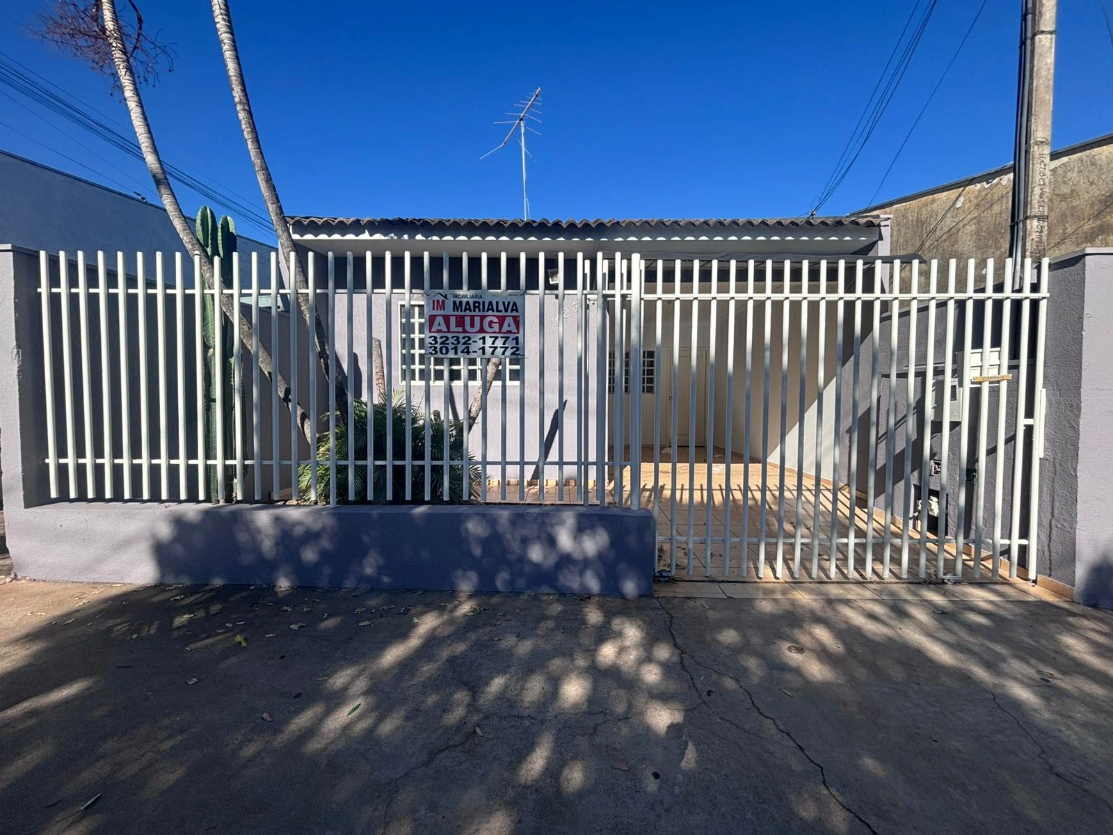 Rua dos Lirios 123